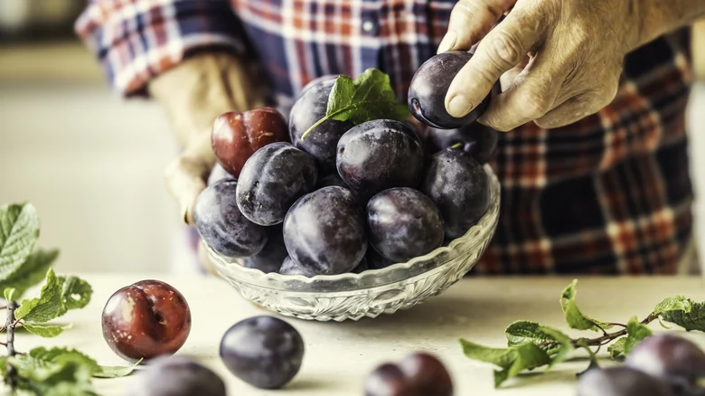 Elderly farmer holding a bowl of plums