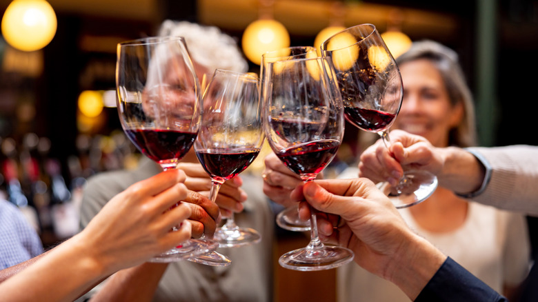 group of mature people making a toast at a wine tasting