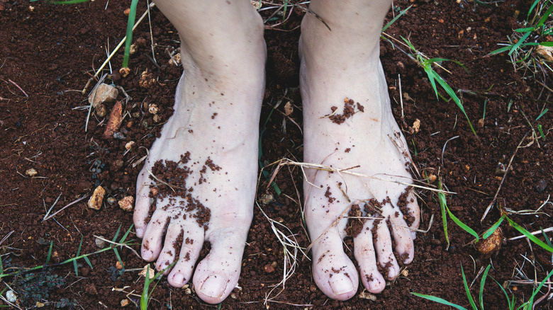 Close-up photo of bare feet in dirt with plants