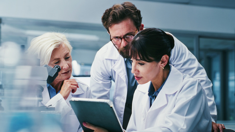 Research personnel studying results in a laboratory setting