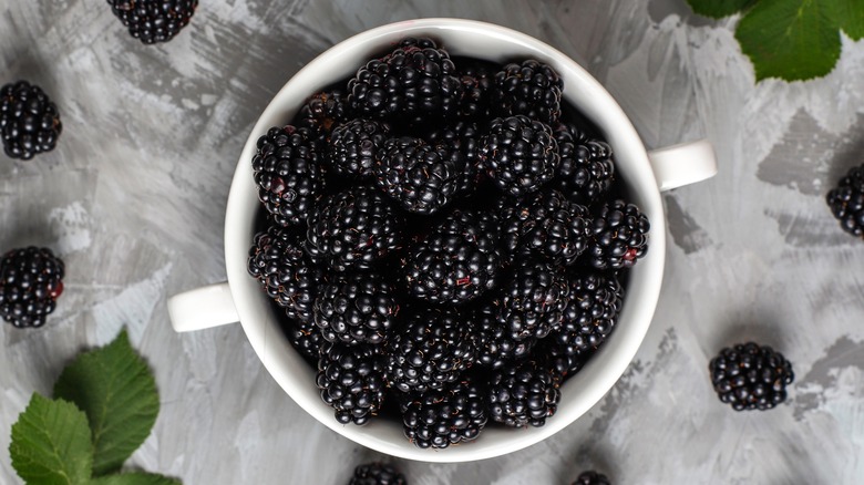 blackberries in white cup