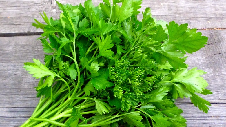 bundle of parsley on wooden floor 