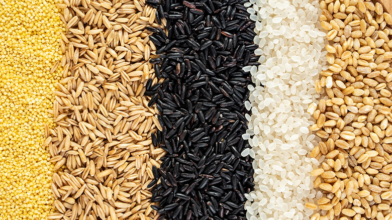 Assorted whole grains arranged in lines