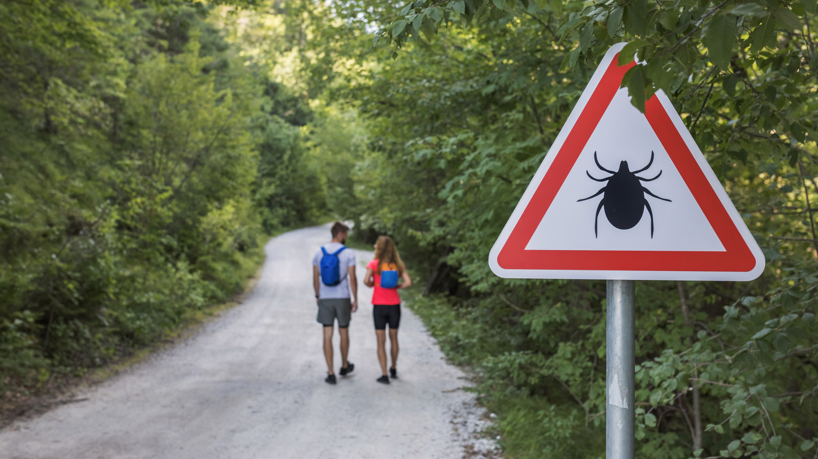 <a href="https://www.healthdigest.com/2215581/tick-bites-common-myths-risk/" target="_blank">5 Common Myths About Tick Bites That Put You At Risk</a>
