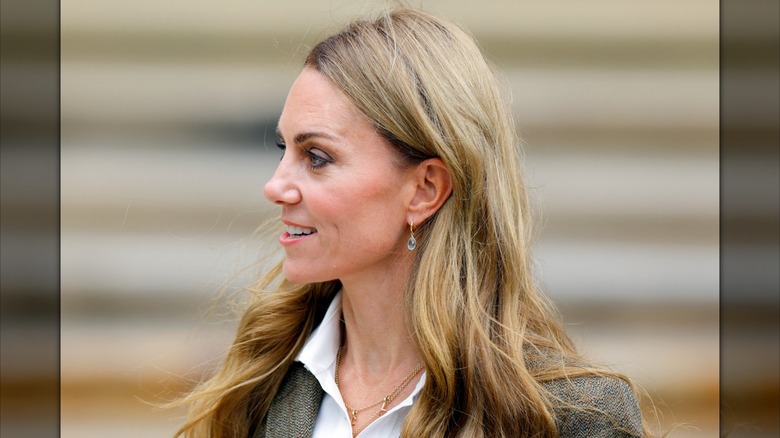 Catherine, Princess of Wales arriving for a visit to the Natural History Museum's newly renovated gardens