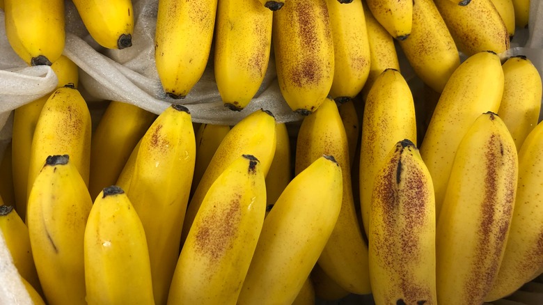a bunch of bananas