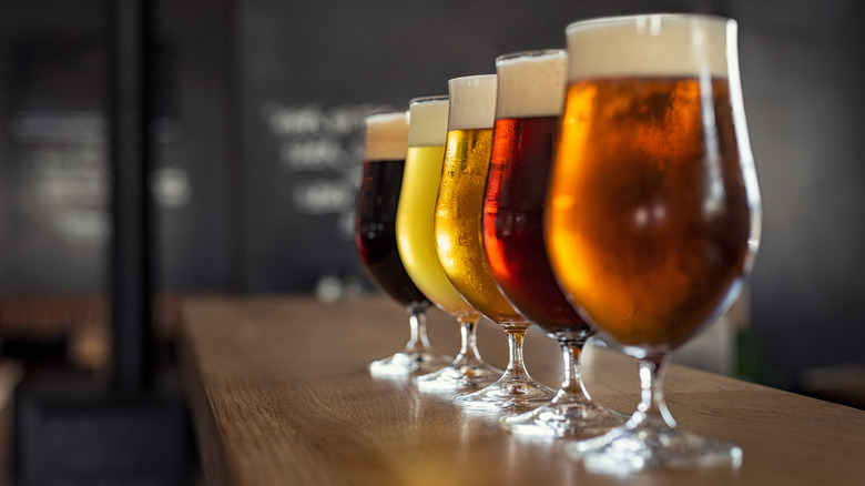 Five glasses of different draft beers 