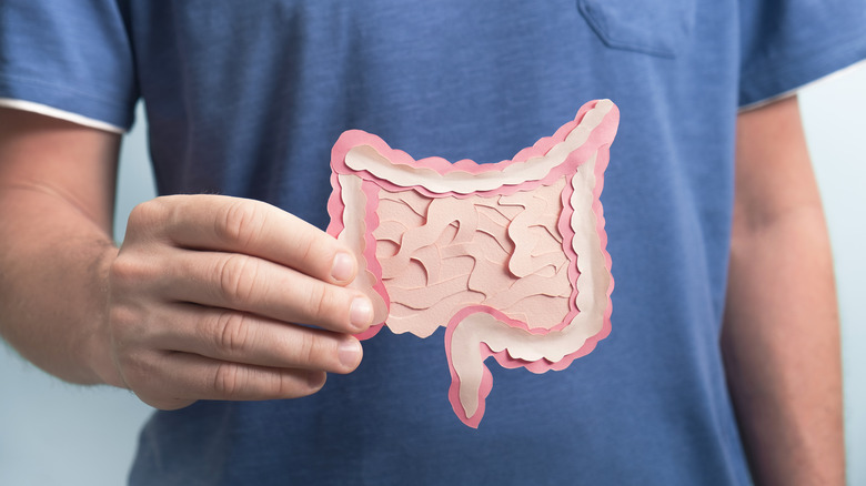 A man holds a diagram of the intestines