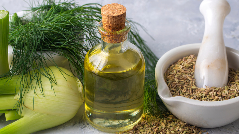 A fennel bulb, fennel oil, and fennel seed on a gray table