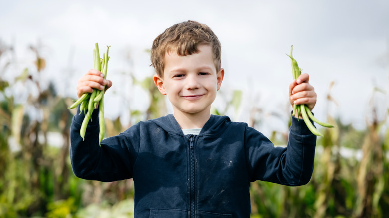 A young boy holding green beans while standing on farm land