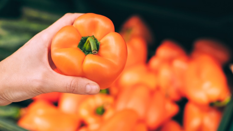 female hand holding orange pepper