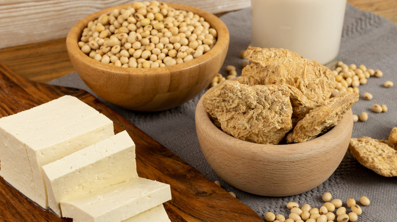 Soy food collection with dry soy meat, soybeans, soy milk and tofu 