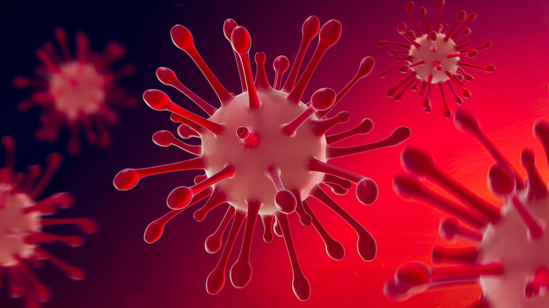Group of viruses