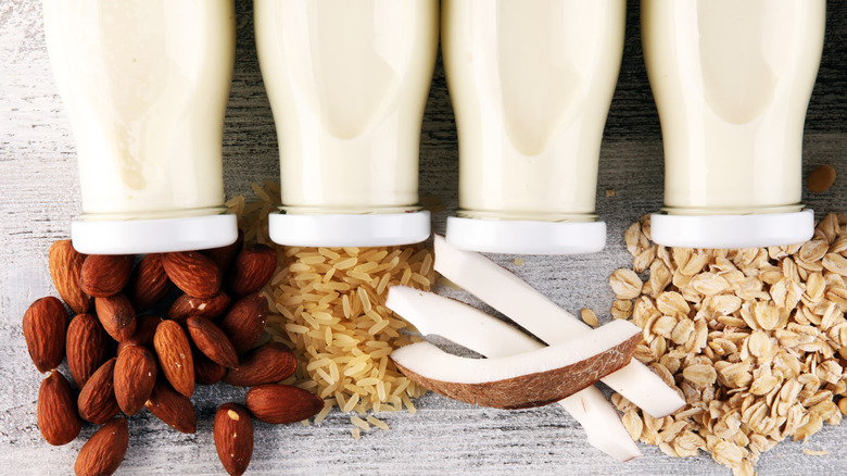 jars of plant based milk surrounded by nuts and oats