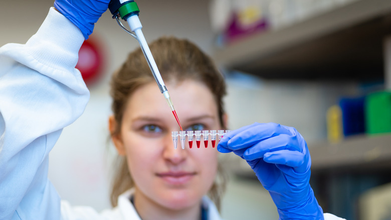 A researcher dropping blood into test tubes