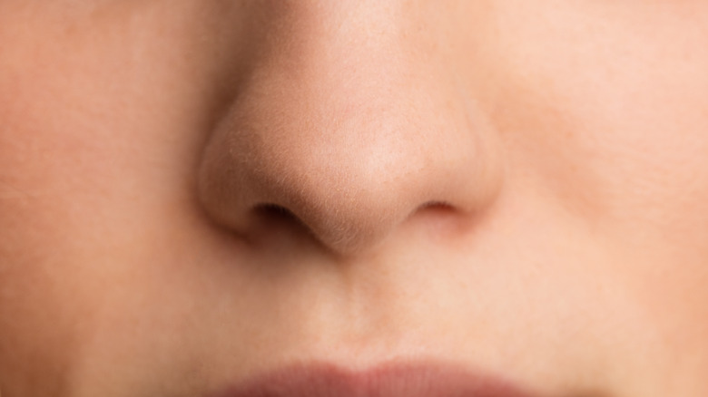 Close up of nose