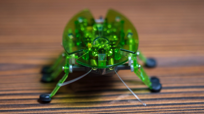 Green robotic insect on wooden table