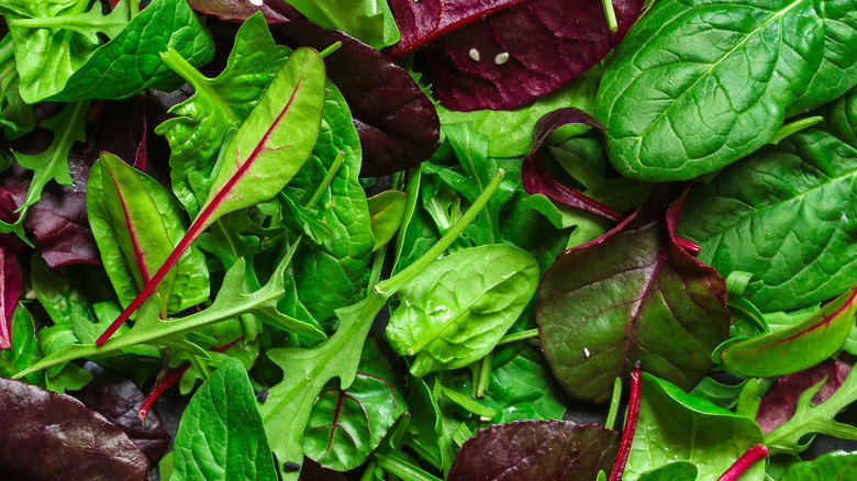 A healthy salad mix including arugula and spinach