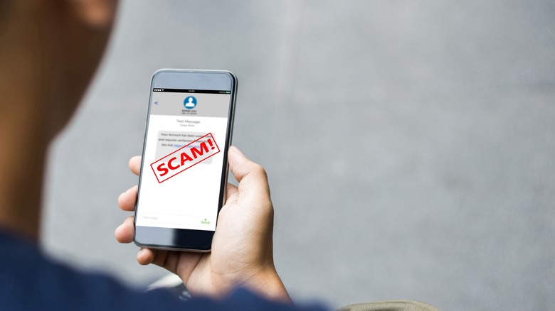 Holding phone with scam text message