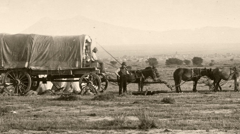 A pioneer standing near his horses with a woman sitting on a buggy behind him