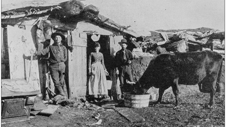 vintage photo of a family living in the midwest during the 19th century