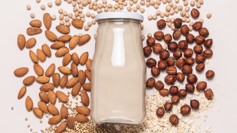 nut milk alternatives with milk bottle