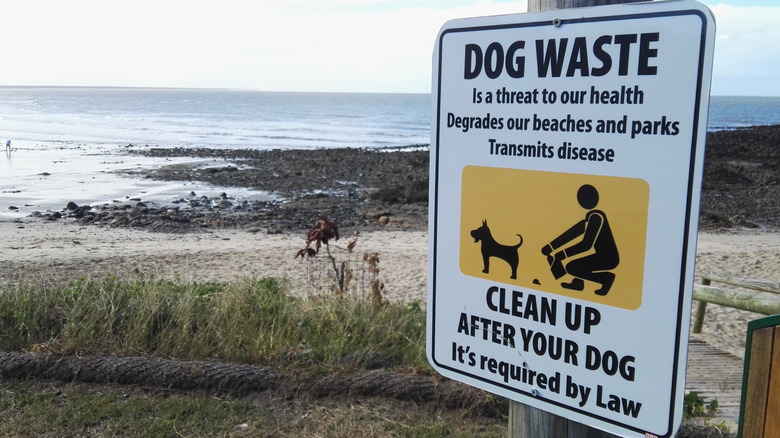 A dog waste reminder sign on the beach