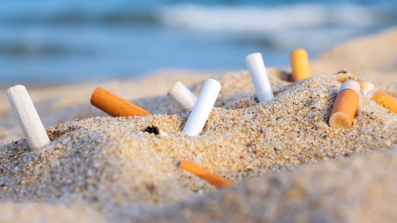 Cigarette butts laying in yellow sand on a beach