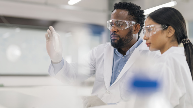 researchers looking at items in laboratory