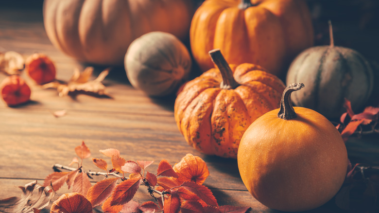 different pumpkin varieties on table