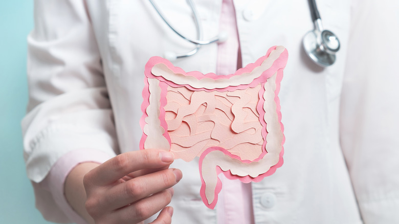 Doctor holding colorectal intestine model 