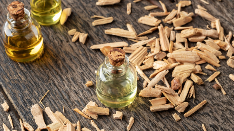 A transparent bottle of essential oil with cedar wood chips