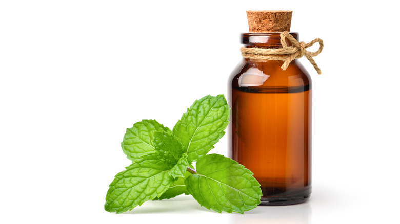 Peppermint oil in brown bottle