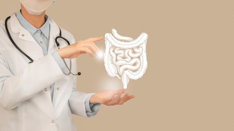 digitial model of gi tract