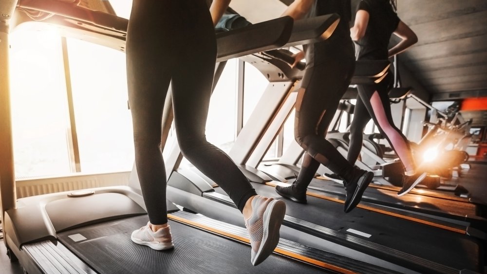 a row of people running on treadmills at the gym 
