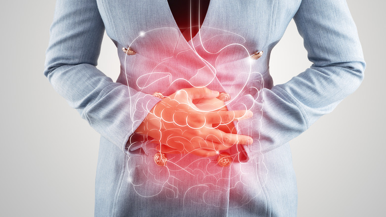 Conceptual image of the digestive system