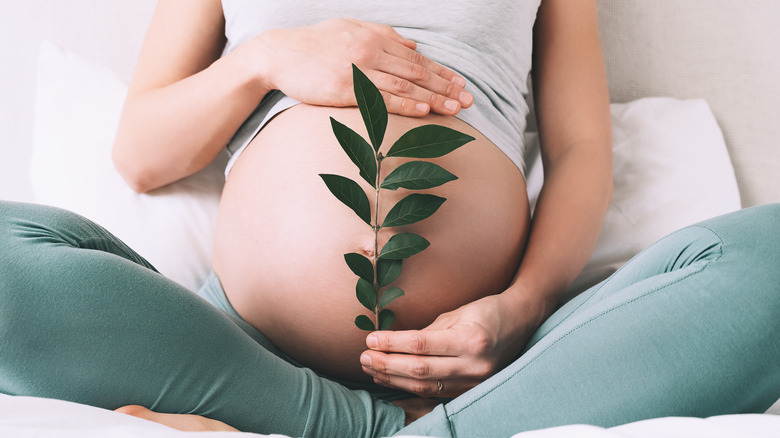 pregnant woman with a leaf sprouting concept fertility