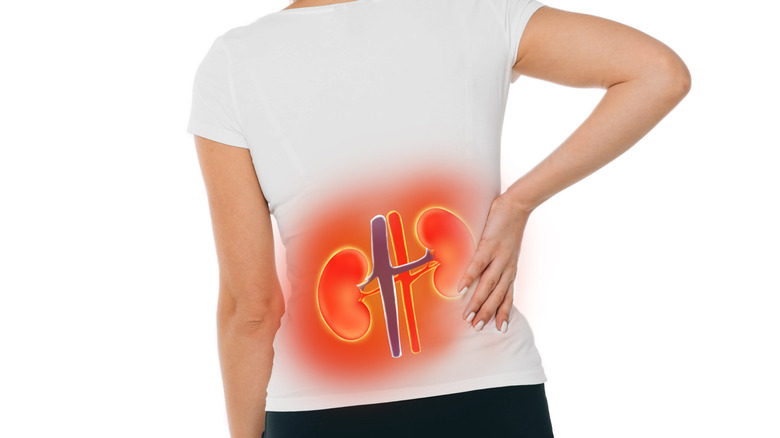 Person holding kidneys with illustration