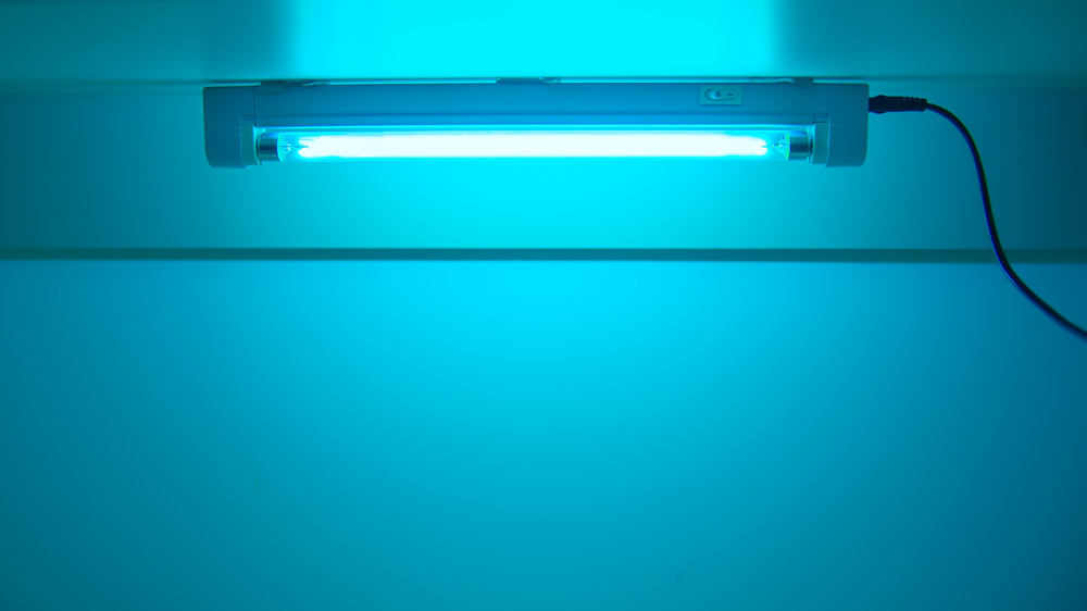 Can UV Light Really Kill COVID-19?