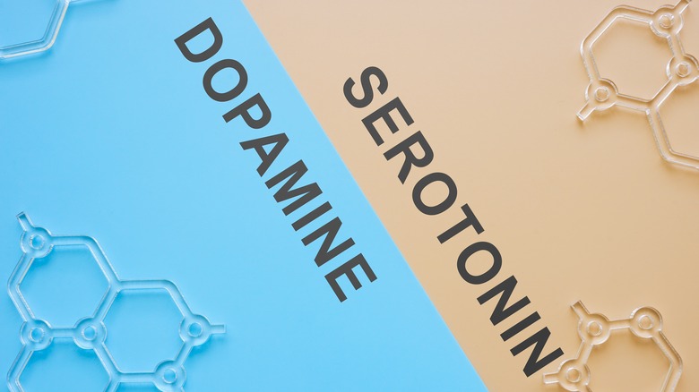 Words serotonin and dopamine