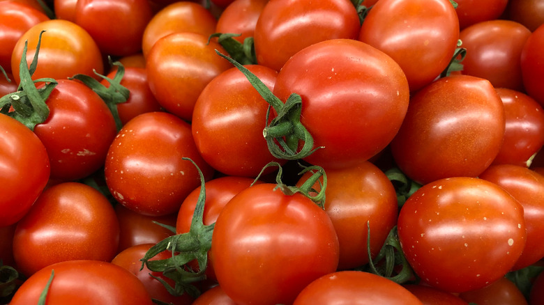 tomatoes off the vine