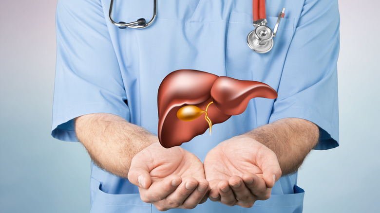 doctor's hands with superimposed liver
