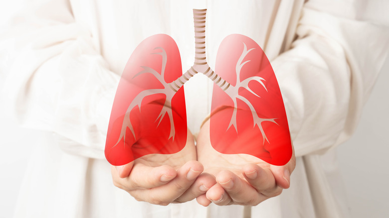 doctor holding lung model