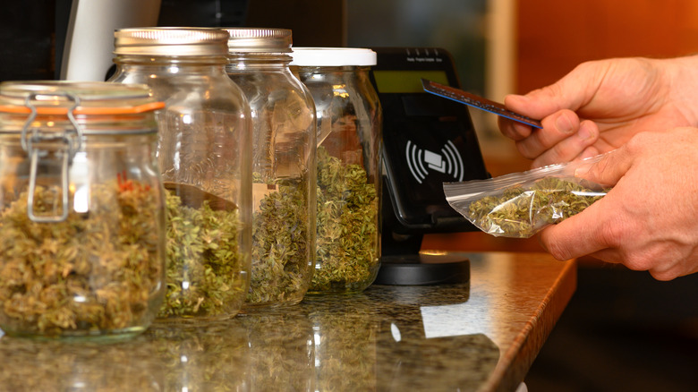 person paying for marijuana with card