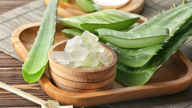 Aloe vera bowl