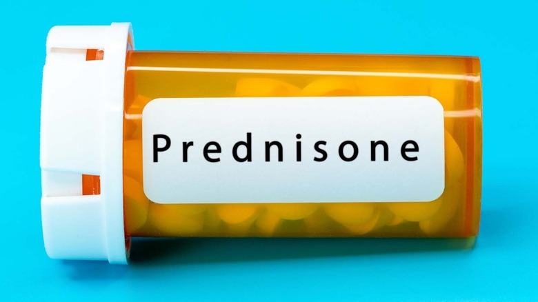 Bottle of prednisone pills