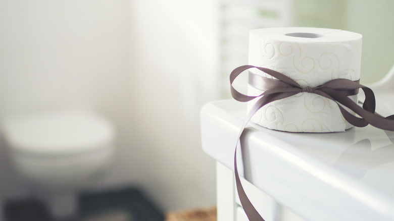 roll of toilet paper with toilet in the background