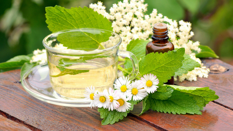 cup of chamomile tea and bottle of chamomile tincture