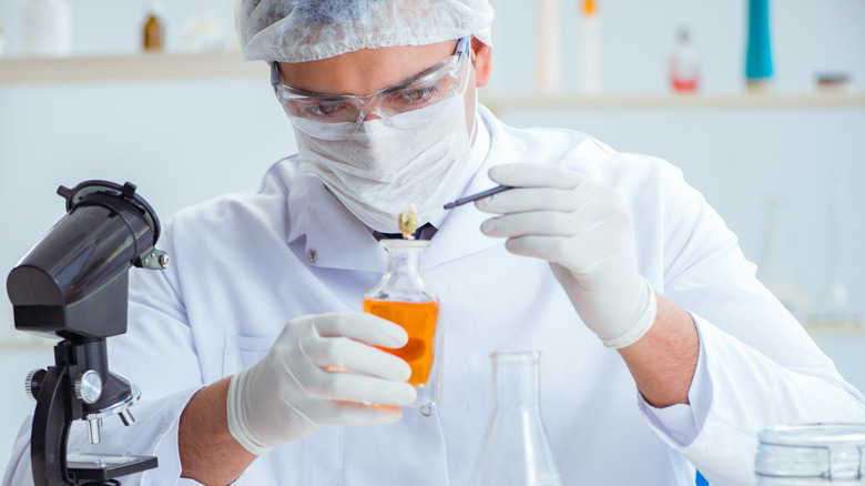 researcher in lab studying chamomile