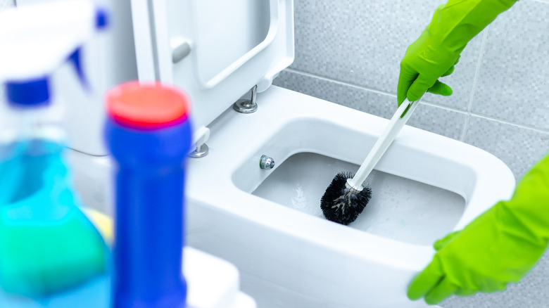 Hands cleaning toilet with chemicals